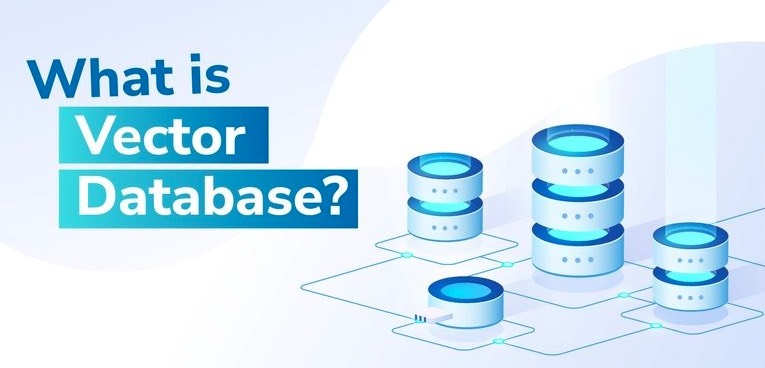VectorDatabase